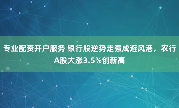 专业配资开户服务 银行股逆势走强成避风港，农行A股大涨3.5%创新高
