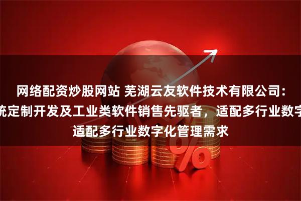 网络配资炒股网站 芜湖云友软件技术有限公司：智慧园区系统定制开发及工业类软件销售先驱者，适配多行业数字化管理需求